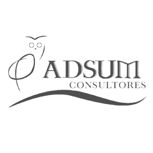 Adsum Consutores | Insurance Law Firm